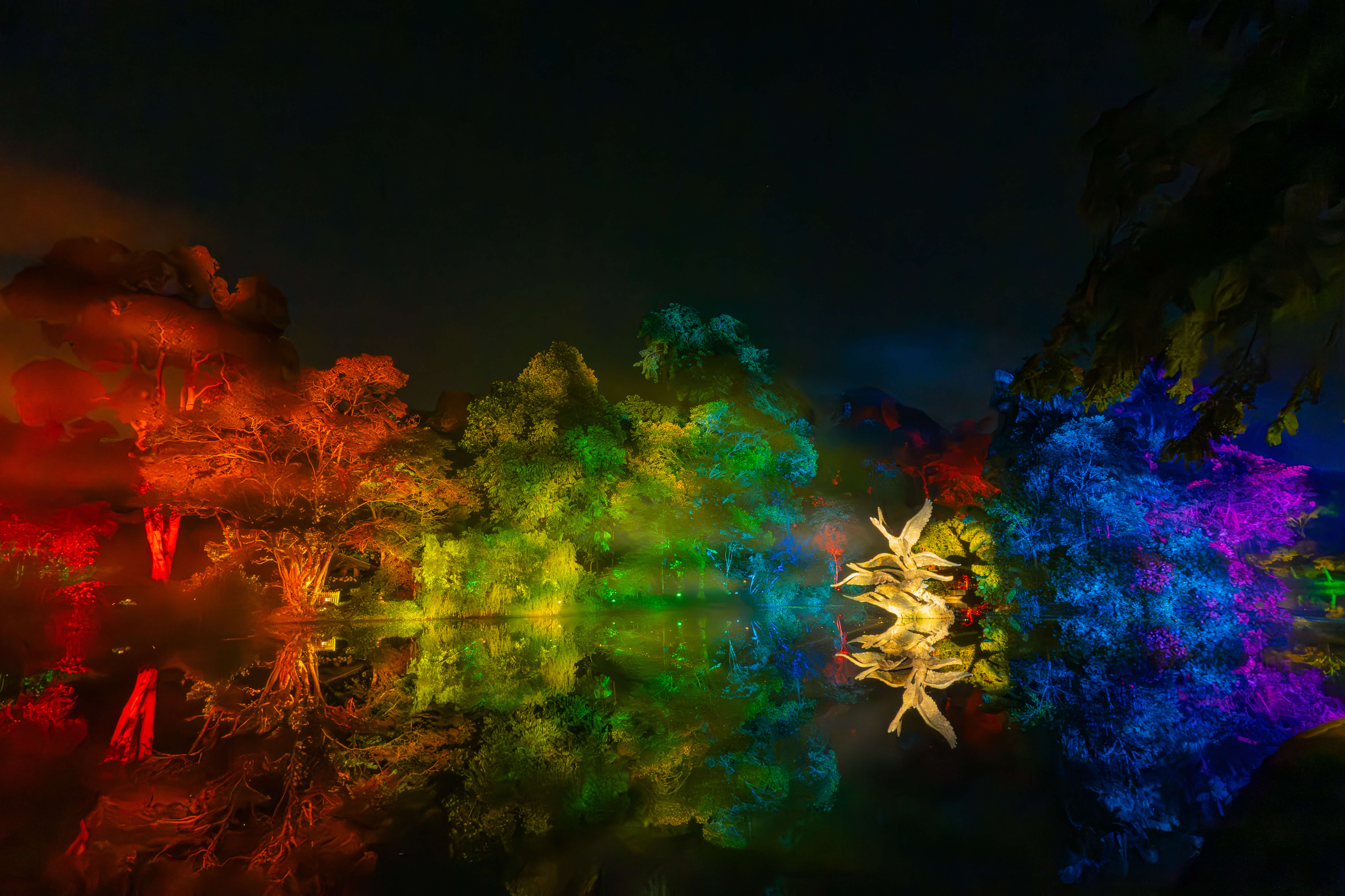 Lightshow at Swan Lake in Singapore Botanic Gardens